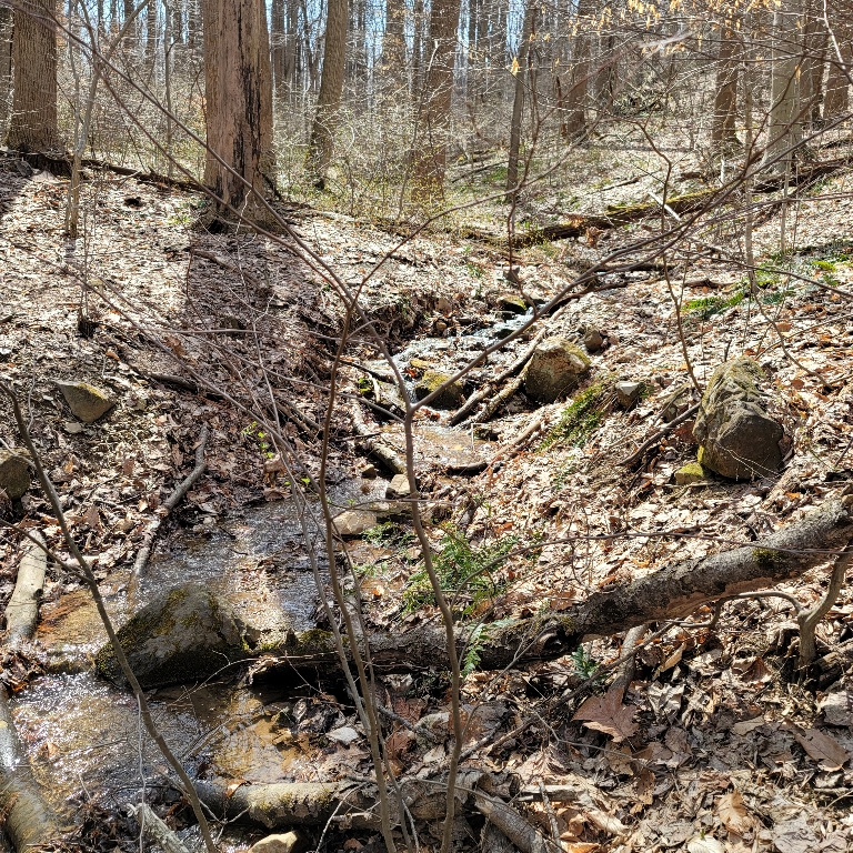 A nice relaxing small stream at Speedwell Forge Park