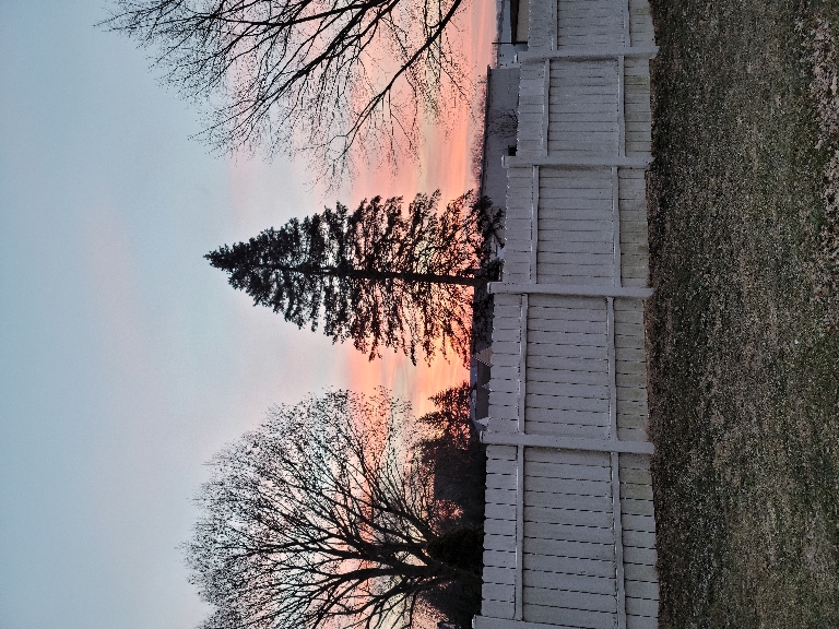 This picture is of a sunrise. The clouds near the horizon are an orange like color.