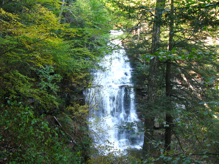 This pitcture shows a tall waterfall that's partially behind some trees.