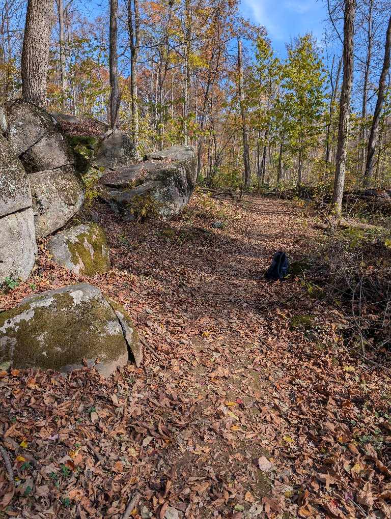 This picture shows a leaf-covered trail. There are large boulders on the left side. The trees are mostly bare, but there are some scattered colorful leaves remaining on them.