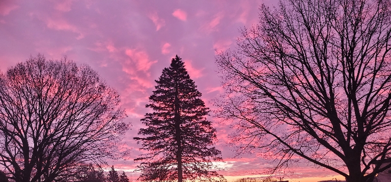 A colorful sky with orange, red, and blue formed a silhouette behind bare winter trees.