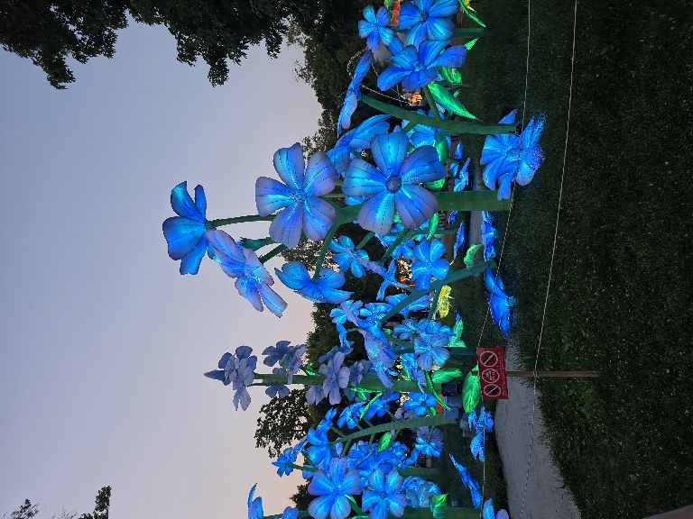 This photo shows an illuminated blue flowers.