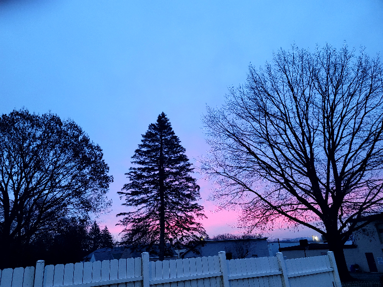 A colorful streak in the sky just above the horizon. It's a bright pink area behind some leafless trees.