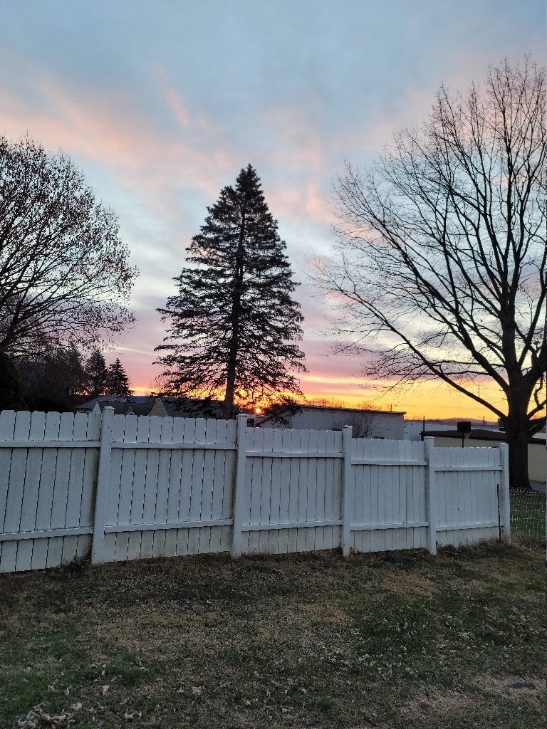 This is a picture of the sunrise. The clouds are orange and purple and the sun is just touching the horizon between trees and buildings.