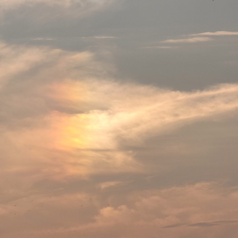 Here is a photo a surprise summer time iridescent cloud.