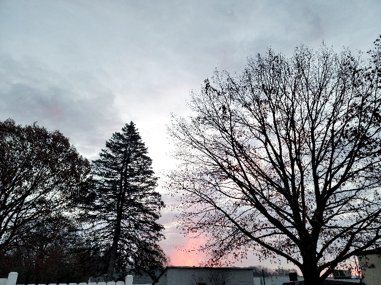 This depicts an area of orange glow behind a tree from this morning's sunrise.