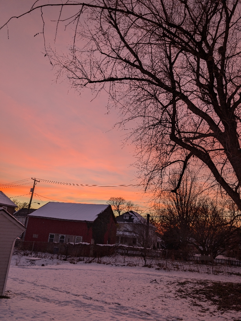 This picture shows orange and pink skies with dark, wintry, bare tree branches in the foreground as well as on the ground.