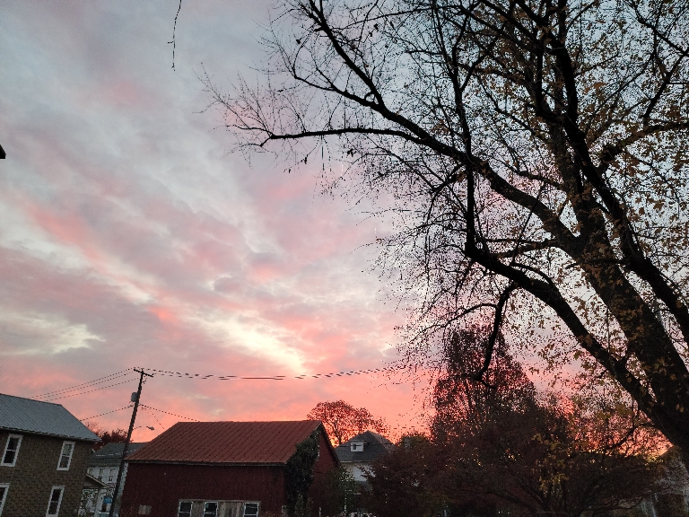 This picture orange, and pink clouds behind a mostly bare maple tree at sunset.