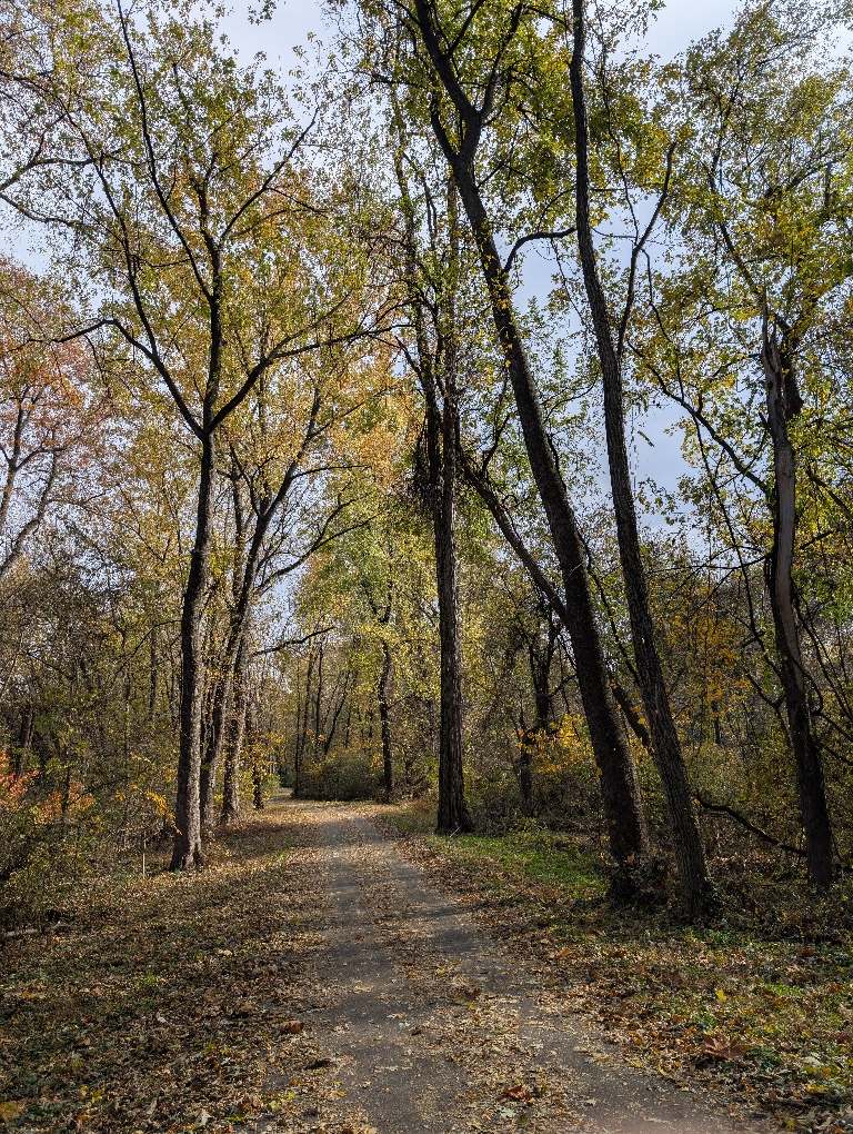 This picture shows a leaf-covered bike/hike trail. The trees on both sides still have some colorful leaves.