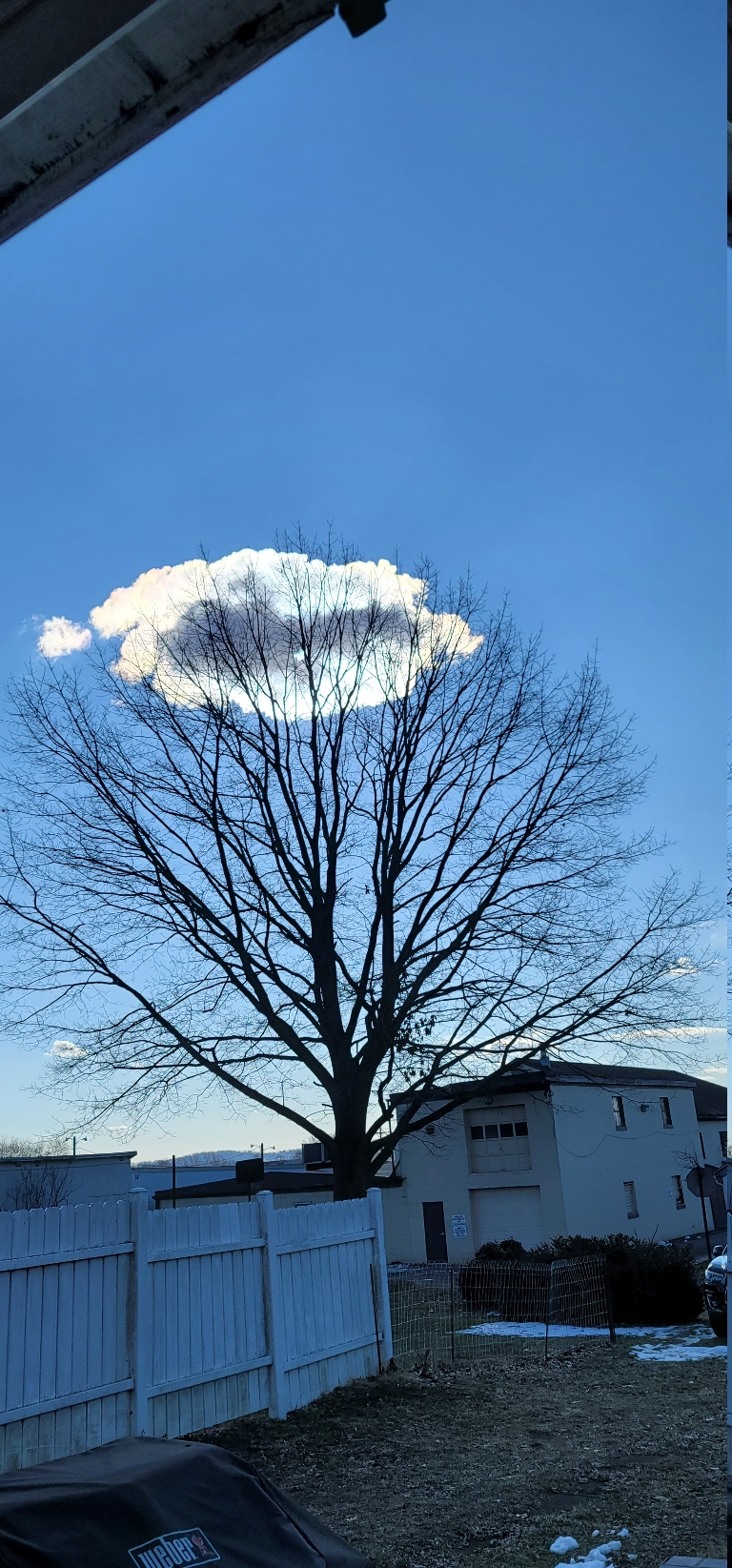 This is a picture of a small lonely cumulus cloud directly in front of the sun. The center is dark from the shadow with the edges being iridescent where the sun is reflecting off of some of the ice crystals.