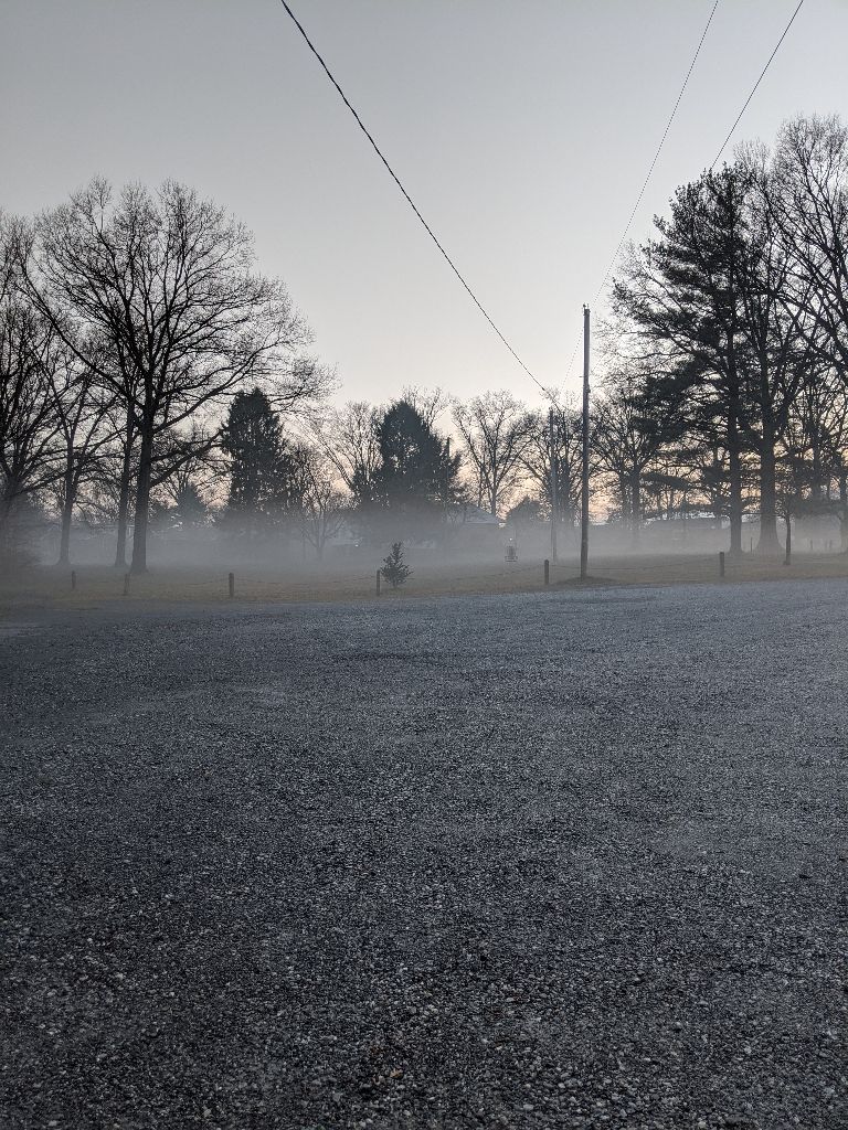 This picture shows low fog rolling in along the ground during an early spring evening.
