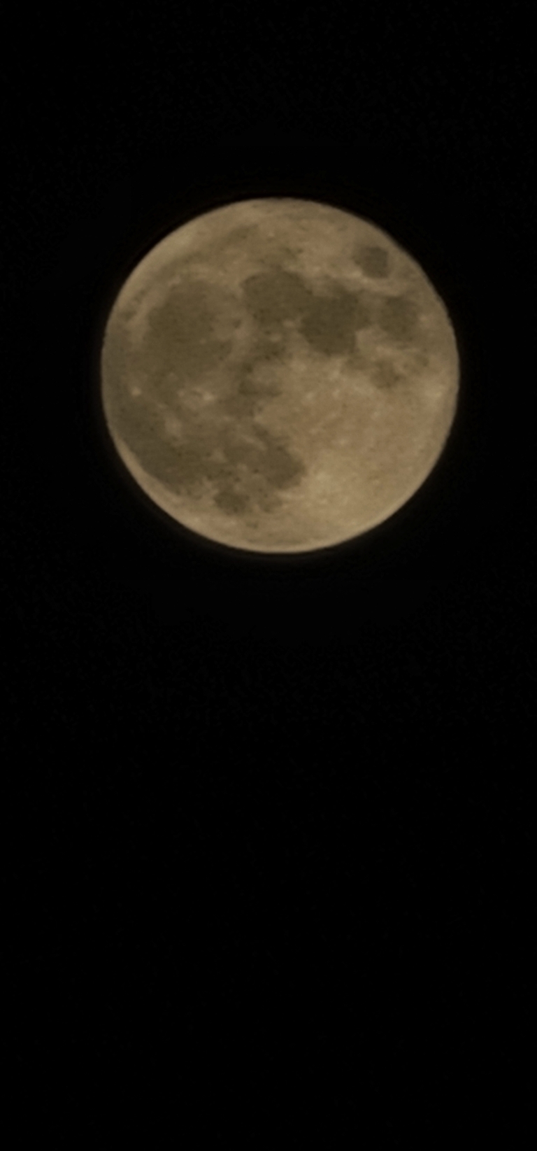 Here is a picture of the full moon while we were out for our evening walk