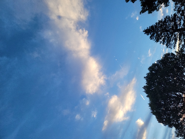 This picture shows clouds underlit from the sunrise against a dark blue sky.