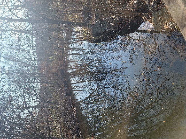 This picture shows a creek from a bridge. The water is smooth. with a great reflection of the sun and fall landscape