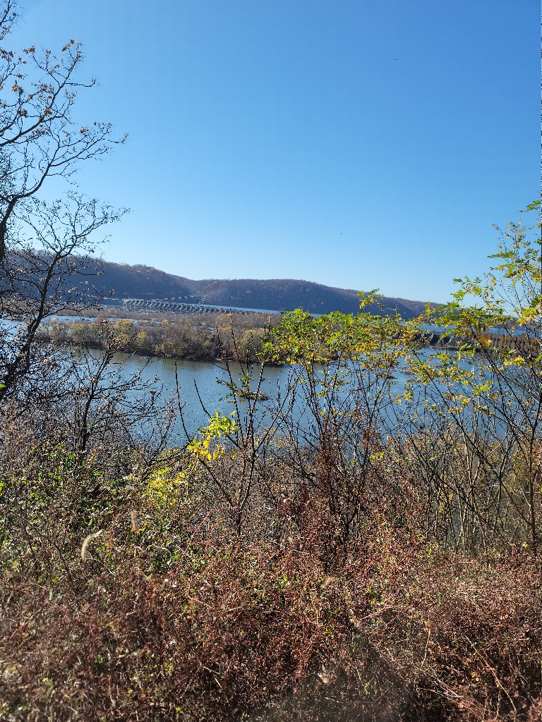 This picture is a picture of the view between the trees of an Island out in the Susquehanna River.