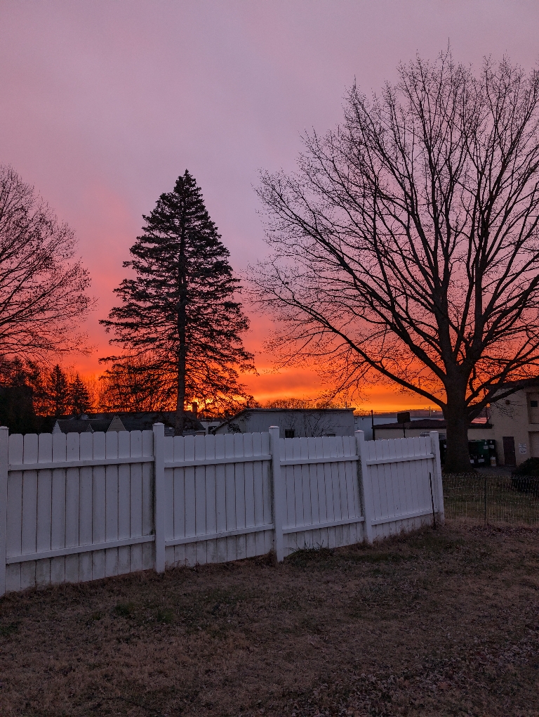 This picture shows a very nice sunrise. There are oranges, pinks, reds, and even a hint of bluish purple behind a pine tree and deciduous tree.
