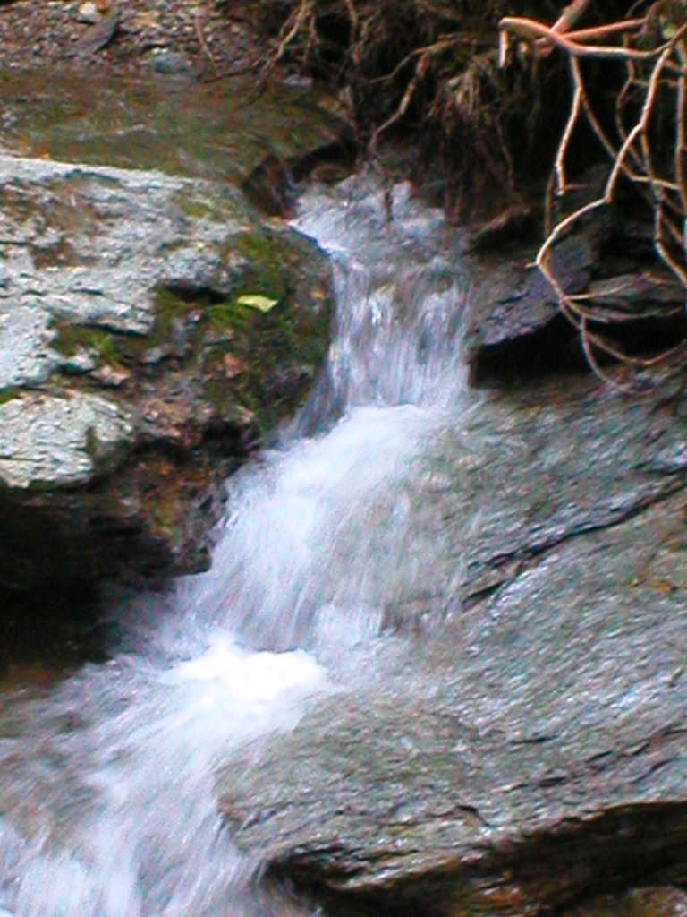 This is a picture a small waterfall on a small stream called Kellys Run. 