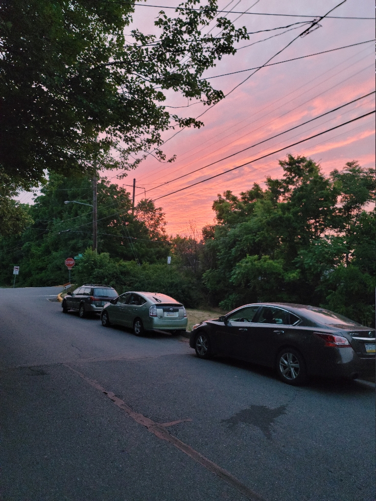 This picture shows an area of sky between trees with bright oranges and pinks in the clouds along with a few purpleish grey clouds below those.