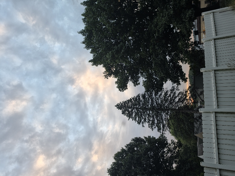 Here is a photo of some partially illuminated clouds around dawn.