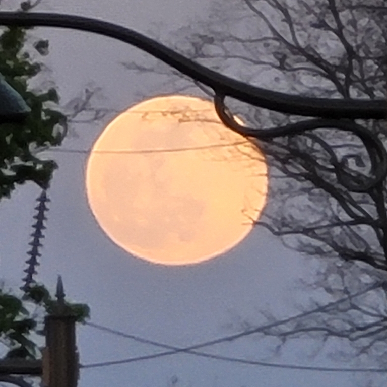 The area near the Mount Joy train station is open enough to get a pretty good view of the moon rise.
