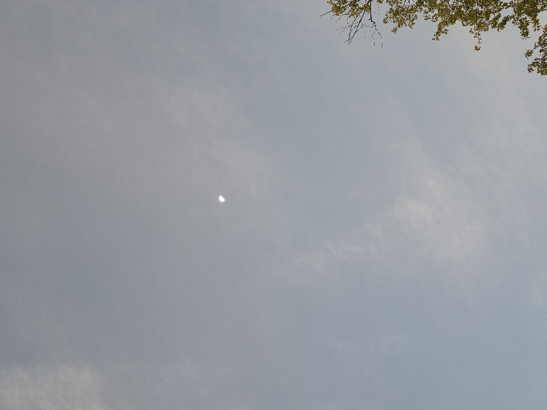 Here is a photo of slightly pinkish-orange clouds with the moon shining through near sunrise.