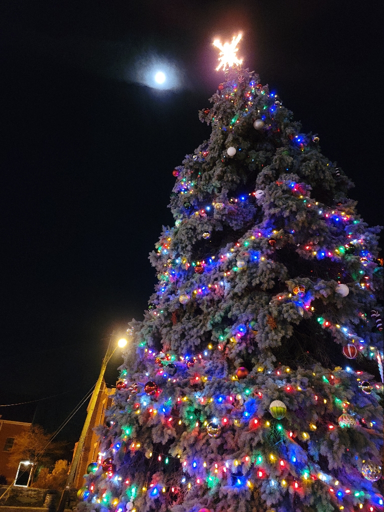 This a picture of Mount Joy's Christmas tree with the moon just above it.