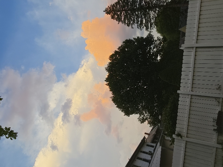 This photo shows a thunderstorm that is white from the sun. Below and in front of it there are some very orange cumulus clouds.