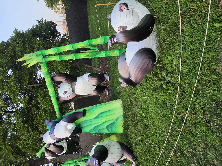 This photo shows partially illuminated pandas in various positions.