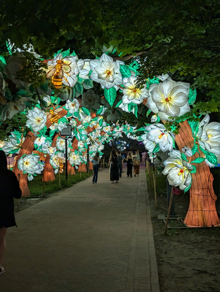 This picture shows a tunnel of lights that show flowers and bees with people in it. the lights were bright under darkness of night.