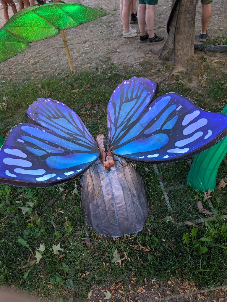 This is a picture of a brightly illuminated blue buttefly in the dark on a log