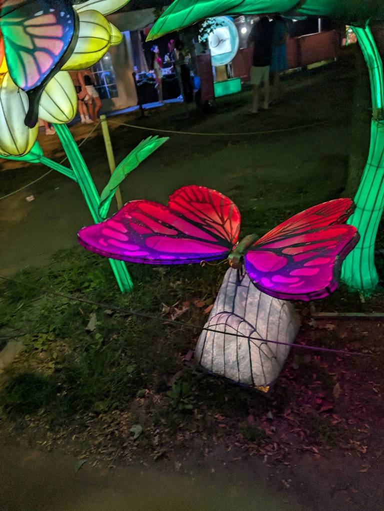 This is a picture of a brightly illuminated butterfly on a log.There is a rainbow illumated flower partially cut off on in the picture.