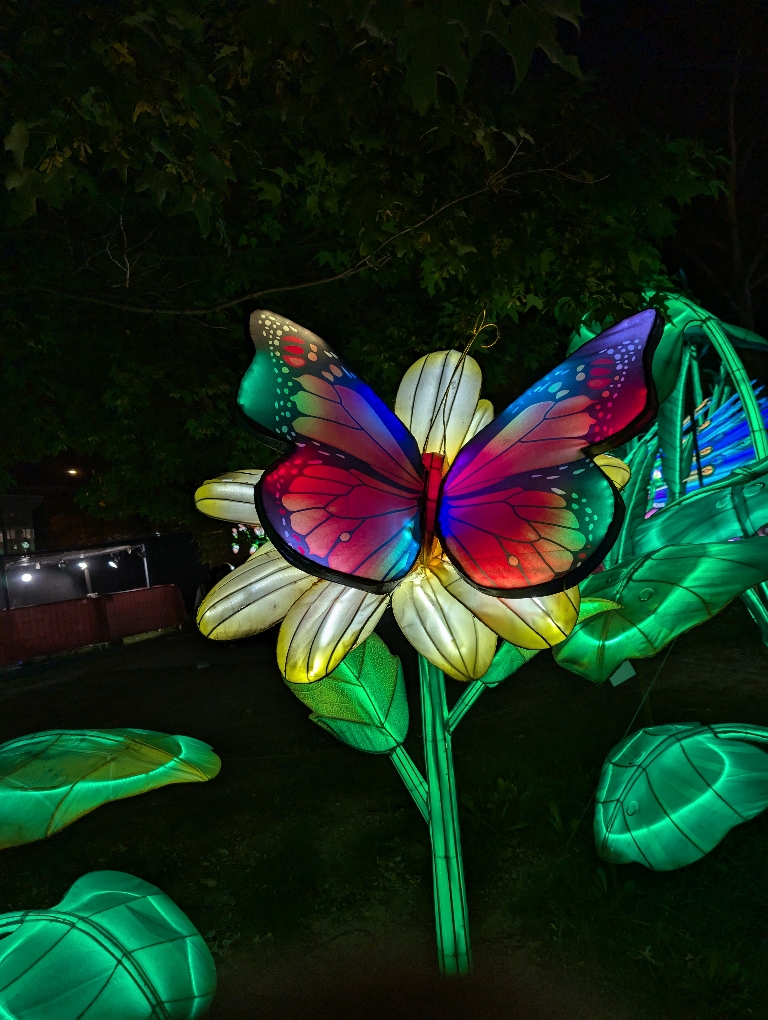 This picture shows a multicolored butterfly in the dark on an illuminated white flower with light up leaves and stem.