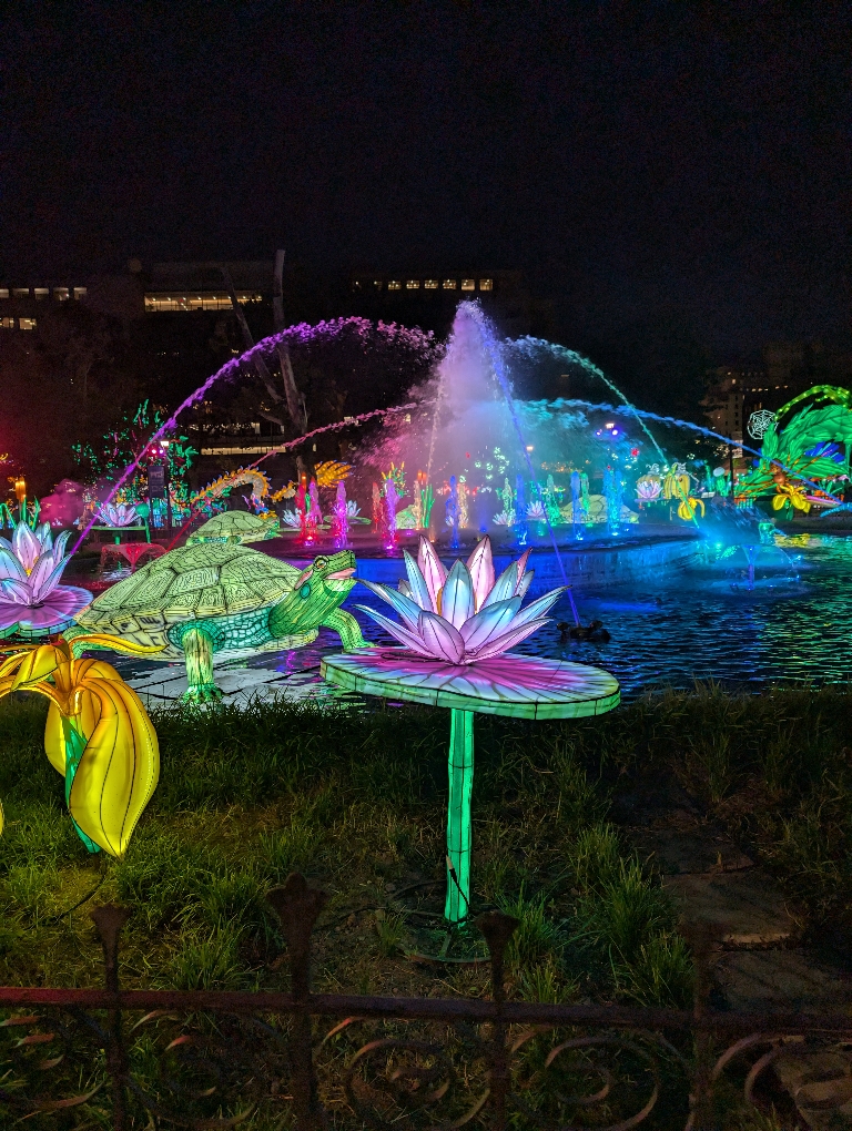 This photo shows a brightly illuminated flower with an illuminated fountain in the background. There are several mor e flower and a turtle in the background too.
