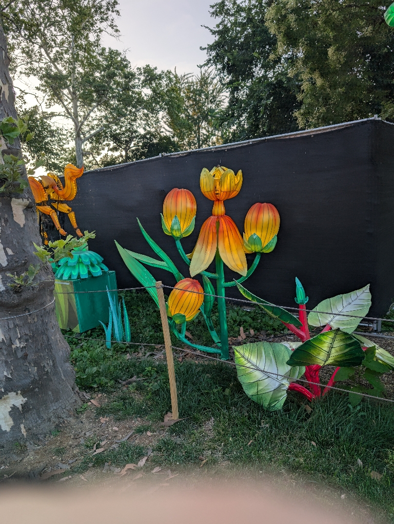This picture shows several illuminated flowers during the day light so the colors were not as vivid as they would be in he dark.