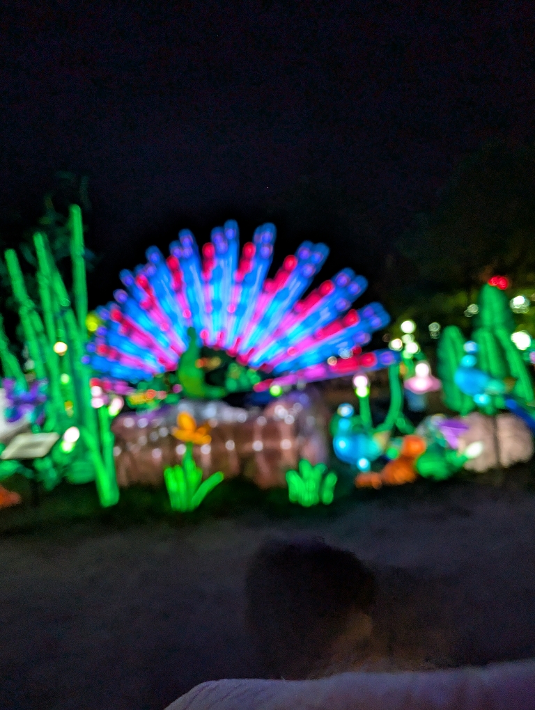 This is a somewhat blurry picture of a blue and red illuminated peacock in the dark. There are some flowers around it too.