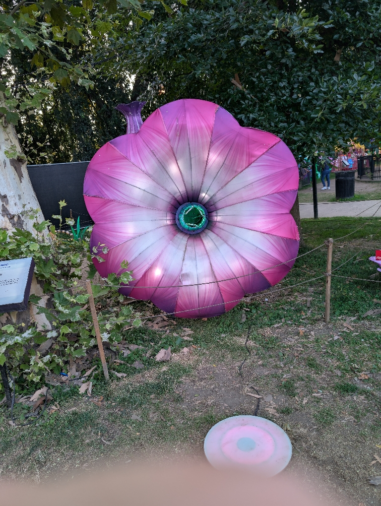 This picture is a close of of a lit up pink flower. It was not dark yet but it was dusky enough to see the illumination.