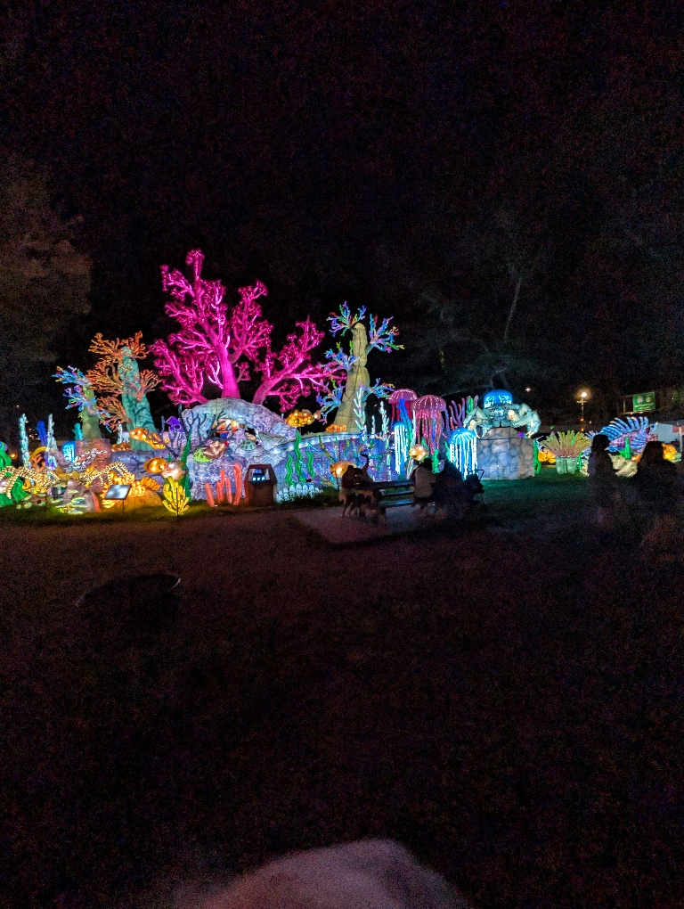 This picture shows various illuminated fish and Coral as if it were to be an under the sea scene