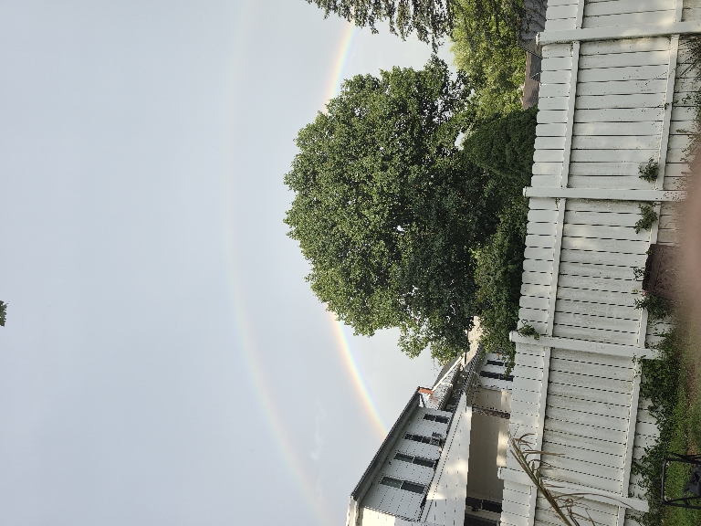 Here is a photo of a double rainbow partly visible between a tree and a house