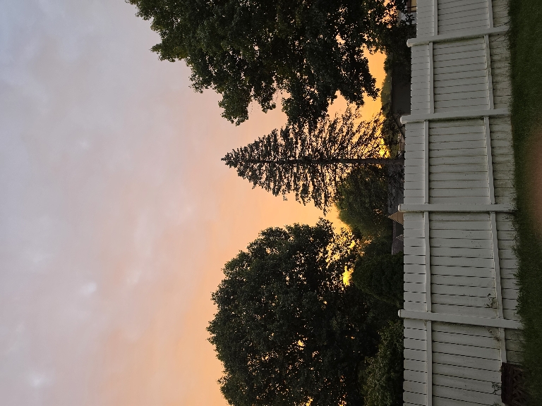 Here is a photo of on orange sky at sunrise. There are some trees in front of the colorful sky.