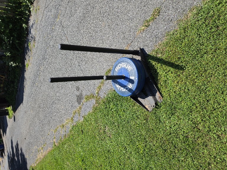 This is a picture of our black Rogue Slice Sled in the grass at the edge of a road. It has two blue 45 pound bumper plates on it.