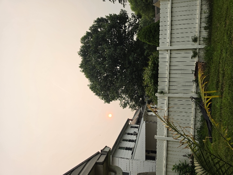 Dimmed out sun well above the horizon from the smoke layer in the atmosphere.