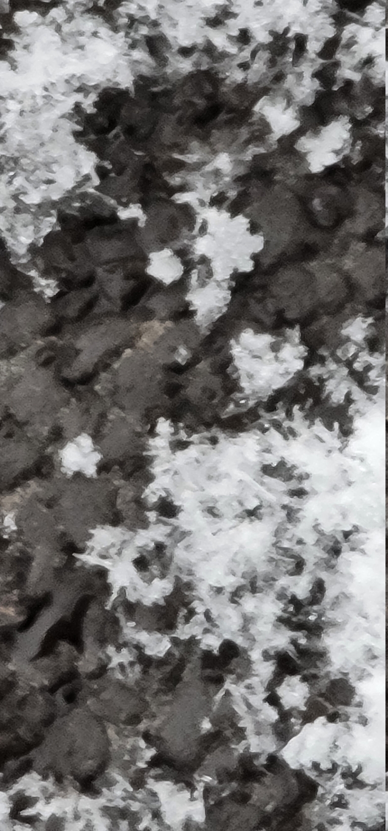 This picture shows some freshly fallen snow on a brown table. Some flakes are large enough to be able to see them.