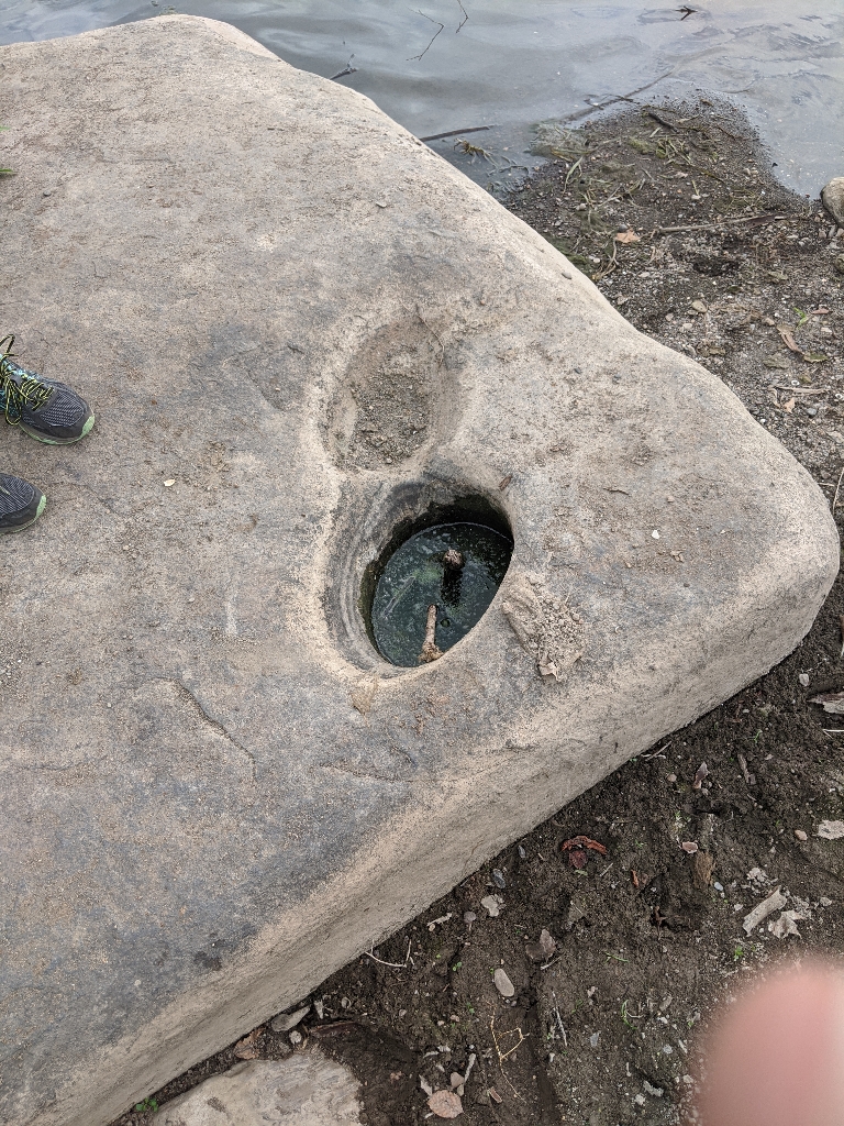 A picture of two small potholes in rock. One is fairly shallow, while the other is much deeper and has water in it.
