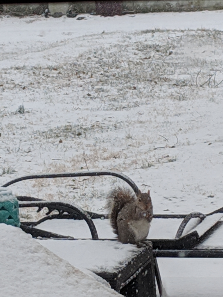 This picture shows a squirrel in the snow sitting on the patio table.