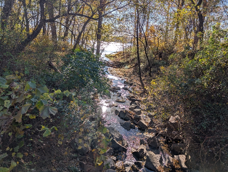 This picture shows a stream flowing towards the Susquehanna River. The sun is almost directly at the camera but blocked by a tree, so it shows the sun reflecting off the water.