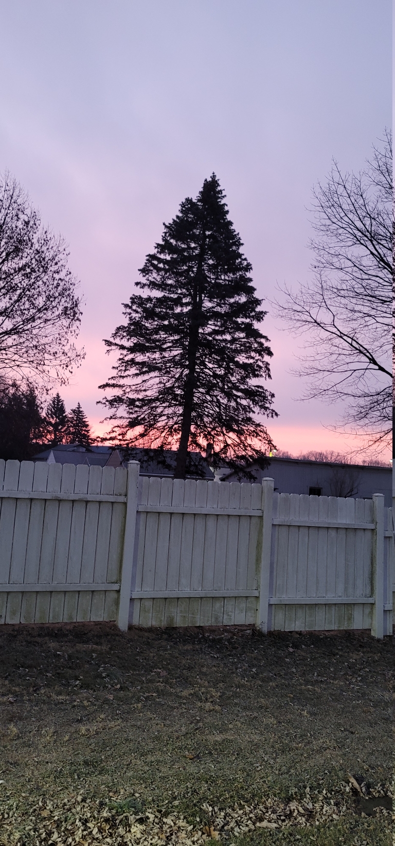 This picture is of a sunrise. The clouds near the horizon are an orange like color.