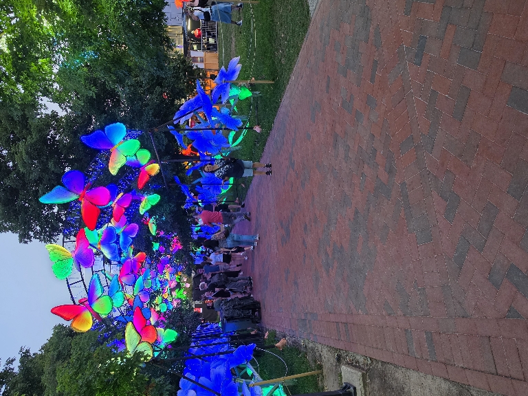 This is a photo of one of the tunnels at the lantern festival. It shows multicolored butterflies lit up under the dusk sky.