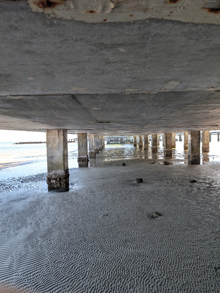 This picture shows a view looking out into the water from underneath St. Pete Pier.