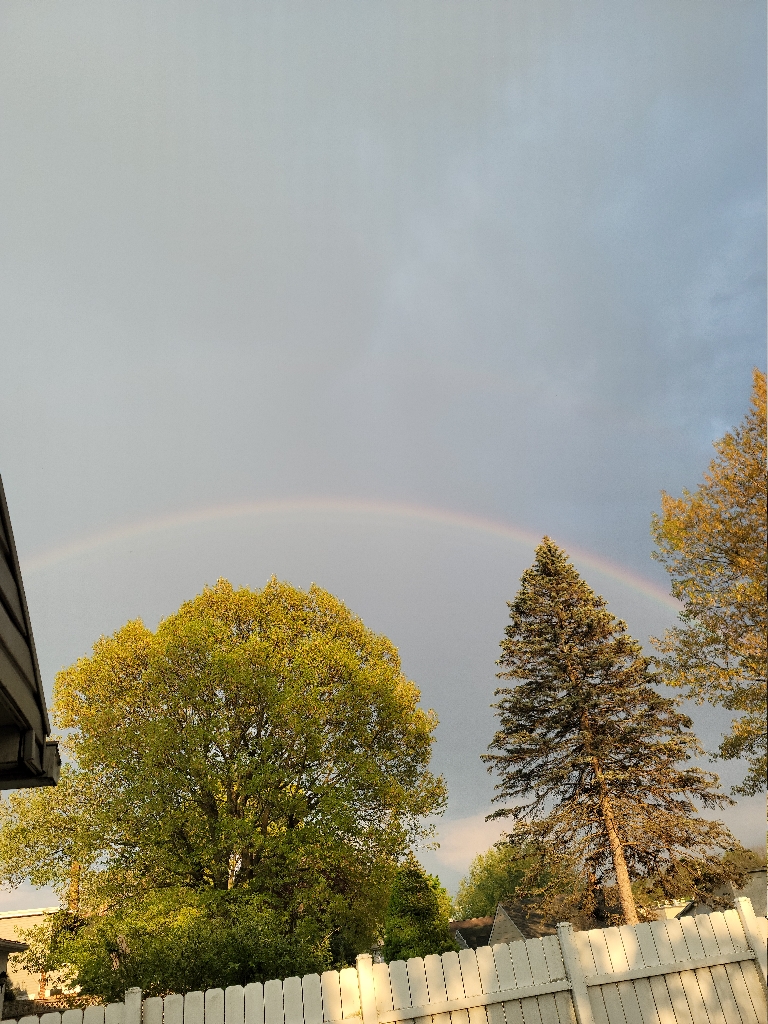 Here is a photo of a vivid rainbow over the neighborhood from a passing thunderstorm.