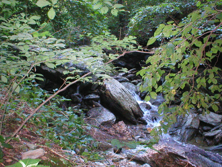 This is a picture a small. stream forming rapids as it flows among the rocks.